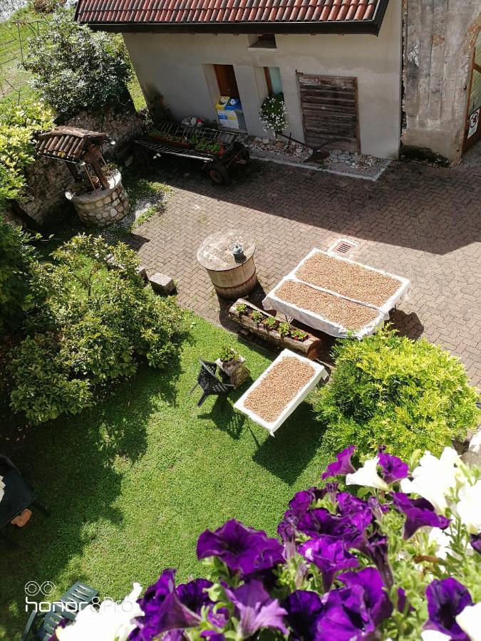 Agriturismo Antica Pieve Limana Екстер'єр фото